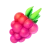 razzberry