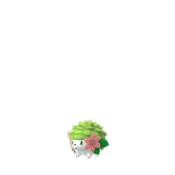 shaymin-pok&eacute;mon-go