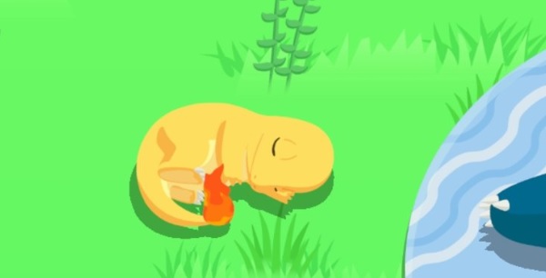 salam&egrave;che-shiny-pok&eacute;mon-sleep