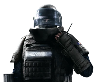 rook