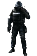 rook