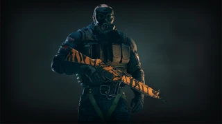 r6-_customizationhk33_tiger_4k