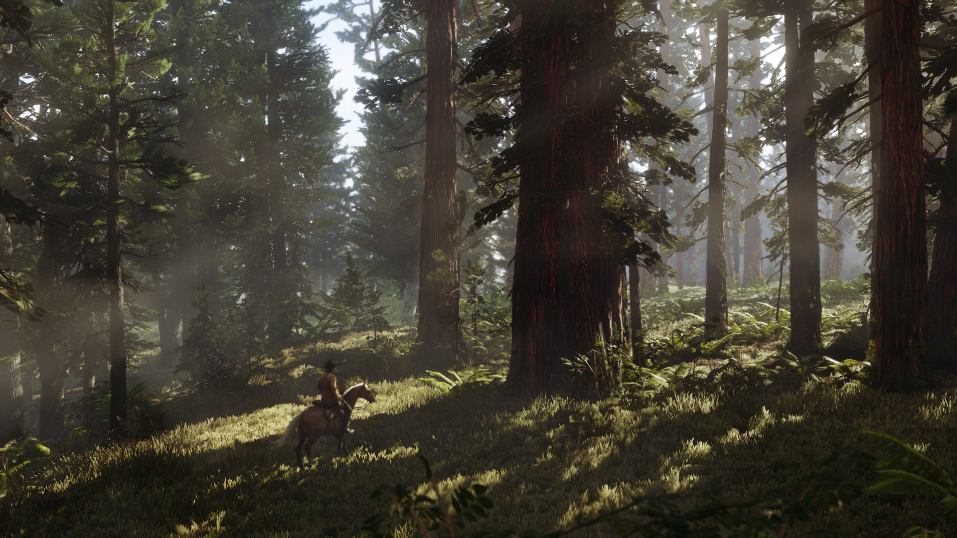 red_dead_redemption_2_first_screenshots_2