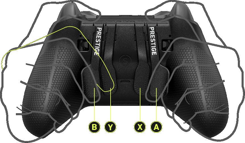 paddles_dt_2