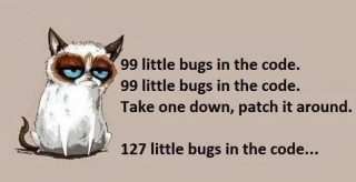 BugsInTheCode