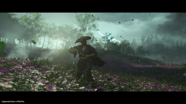 purple_field_take2
