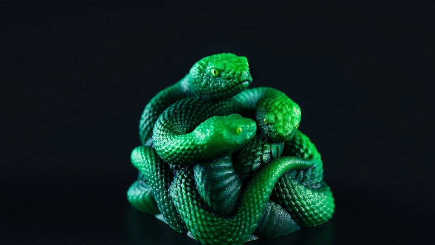 Triple-Headed Snake Close Up
