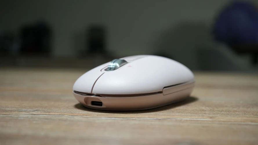 DSC00329