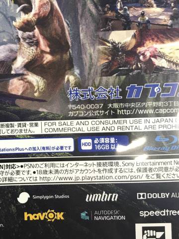 monster hunter world taille du ficher