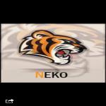 Avatar NekOoBe