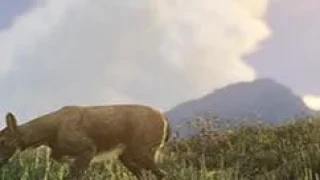 Le mod ICEnhancer sur GTA 5 ?
