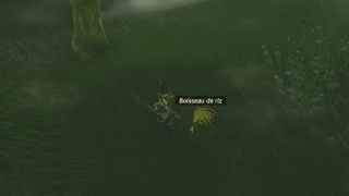 Zelda: Tears of the Kingdom : Boisseau de riz, où et comment en obtenir ?