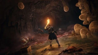 Elden Ring bat Call of Duty: Vanguard, aux États-Unis