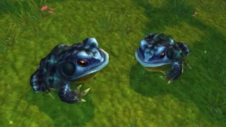 WoW Remix : Blizzard met un terme au farm de grenouilles avec un nouveau correctif