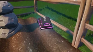Fortnite : Défi Décryptage, puce 83 : Chercher dans un jardin de pierres près de la côte