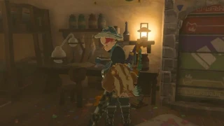 The Legend of Zelda: Tears of the Kingdom : Comment personnaliser le paravoile ?