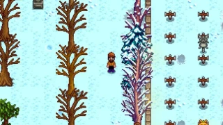 Stardew Valley : Que faire durant l'hiver ? 