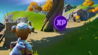 Fortnite : Les Pièces XP, où les trouver ?