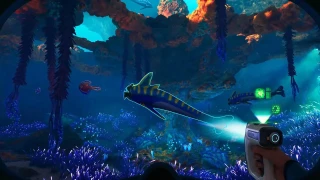 Subnautica 2 bientôt au tribunal suite aux récents événements vécus par ses créateurs ?