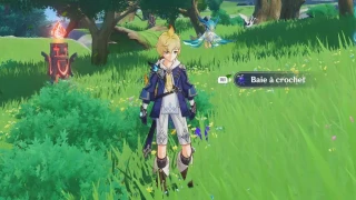 Genshin Impact : Baie à crochet, où et comment en trouver ?