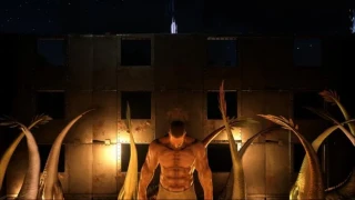 Patchnotes 203 et 204
