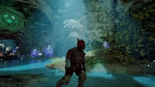 Avowed : Heure de sortie en France sur PC et Xbox