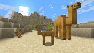 Minecraft : La snapshot 22w42a introduit, déjà, les chameaux/dromadaires