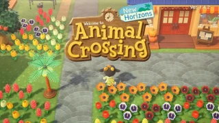 Animal Crossing: New Horizons : Découvrez les nouveaux insectes et poissons du mois de septembre