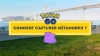 Illustration - Pokémon GO : Comment capturer Métamorph ? (Juin 2026)