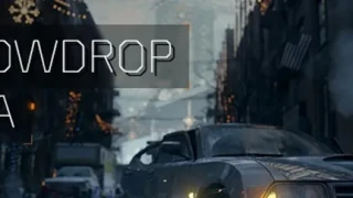 Community Q&A : Snowdrop