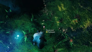 Valheim : Les noyaux noirs, où en obtenir pour fabriquer la Forge noire ?