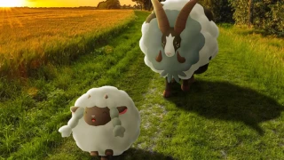 Pokémon GO : Moumouton à l'honneur pour l'heure vedette du 3 septembre