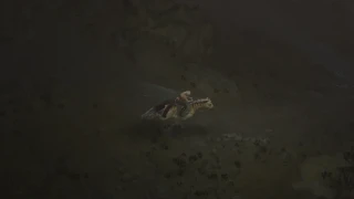 Diablo 4 : Comment atteindre rapidement le niveau 100 ?