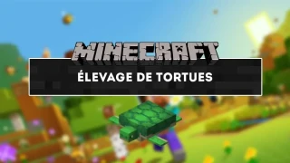 Minecraft : Comment élever des tortues pour avoir des œufs et bébés ?