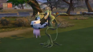 Les Sims 4 : Comment obtenir une plante vache ?