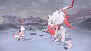 Pokémon Legends: Arceus présente Zorua d'Hisui et Zoroark d'Hisui