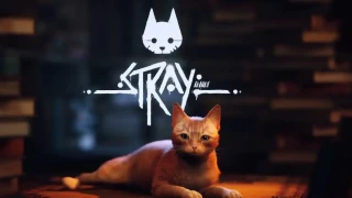 Stray : Heure de sortie en France