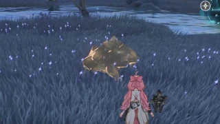 Wuthering Waves : Écho Shiny, où trouver ces variantes ultra rares ?