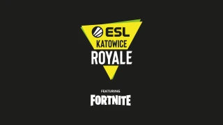 Fortnite : Un tournoi à 500 000 $ lors de l'IEM Katowice