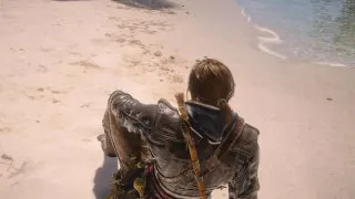 Assassin's Creed: Black Flag Resynced : Comment passer le temps ?