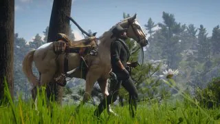 Red Dead Redemption 2 supprime discrètement une fonctionnalité importante