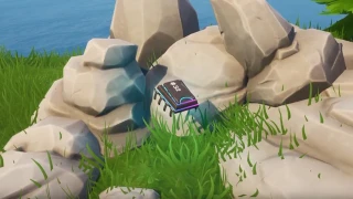 Fortnite : Défi Décryptage, puce 32 : Chercher en portant le compagnon Kyo sur le dos à l'extrémité nord de la carte