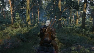 The Witcher 3 n'aura jamais été si beau avec ce mod modifiant la végétation !