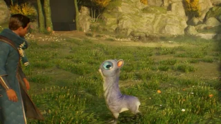 Hogwarts Legacy : Où vendre les animaux et créatures magiques ?