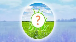 Pokémon GO : Heure vedette du 6 janvier 2026, quel Pokémon est mis à l'honneur ?