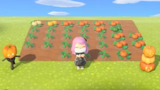 Animal Crossing : New Horizons : Tout savoir sur les citrouilles et ses plans