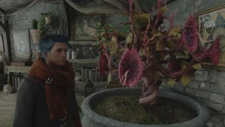 Hogwarts Legacy : Tentacula vénéneuse, comment en avoir facilement ?