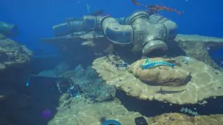 Subnautica 2 : Il est possible de tuer les poissons grâce à ce mod