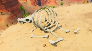 Fortnite : Défi Décryptage, puce 81 : Chercher en plein jour près d'une formation de cactus au sommet d'une montagne