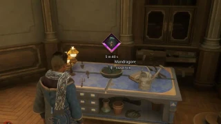 Hogwarts Legacy : Mandragore, comment en avoir facilement ? 